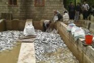 خسارت سیل به مرکز پرورش ماهی در منطقه سیل‌زده بازفت