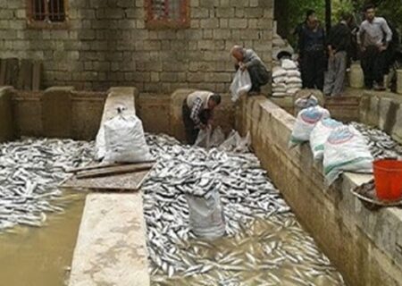 خسارت سیل به مرکز پرورش ماهی در منطقه سیل‌زده بازفت