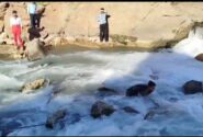 نهال، دختر ۱۱ ساله ای که در رودخانه تونل دوم کوهرنگ غرق شد / بی توجهی مسئولان به ایمن سازی حاشیه رودخانه